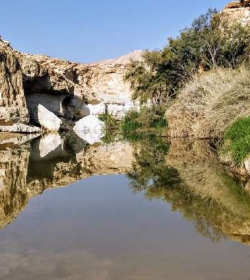 עין ירקעם: טבילה קרירה בנווה מדבר